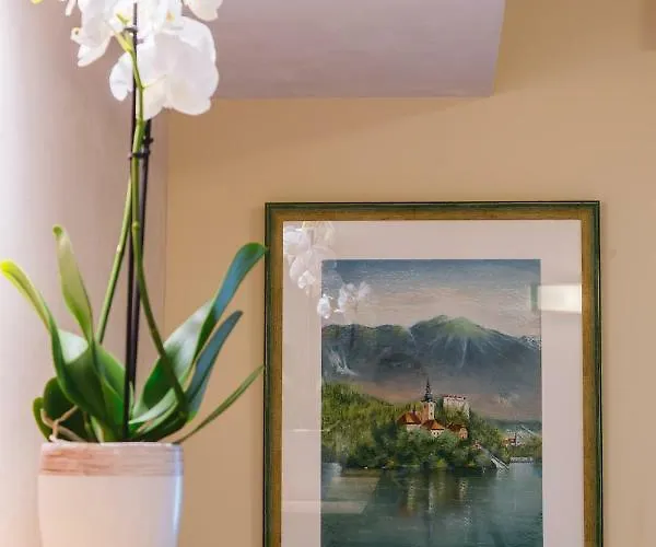 بيت ضيافة Ledrar